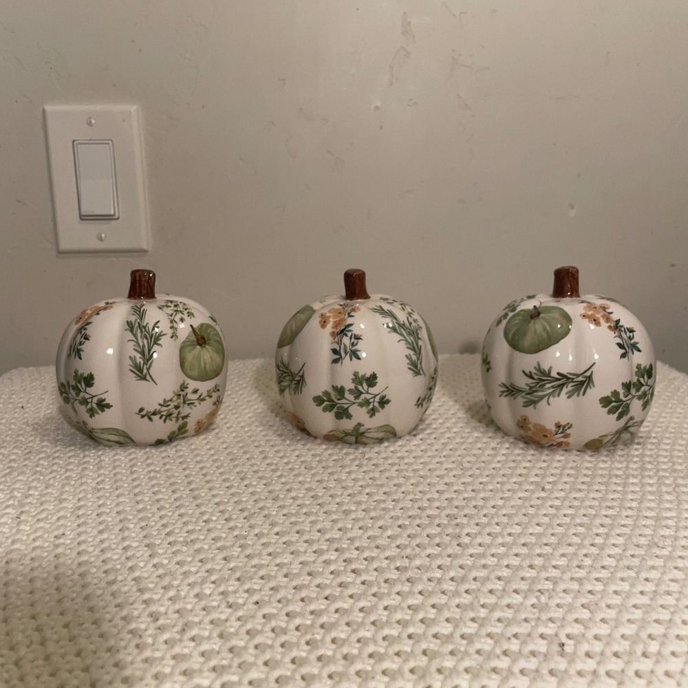 Ashland Ceramic Botanical Pumpkin Trio White Green Orange Fall Tabletop Decor
